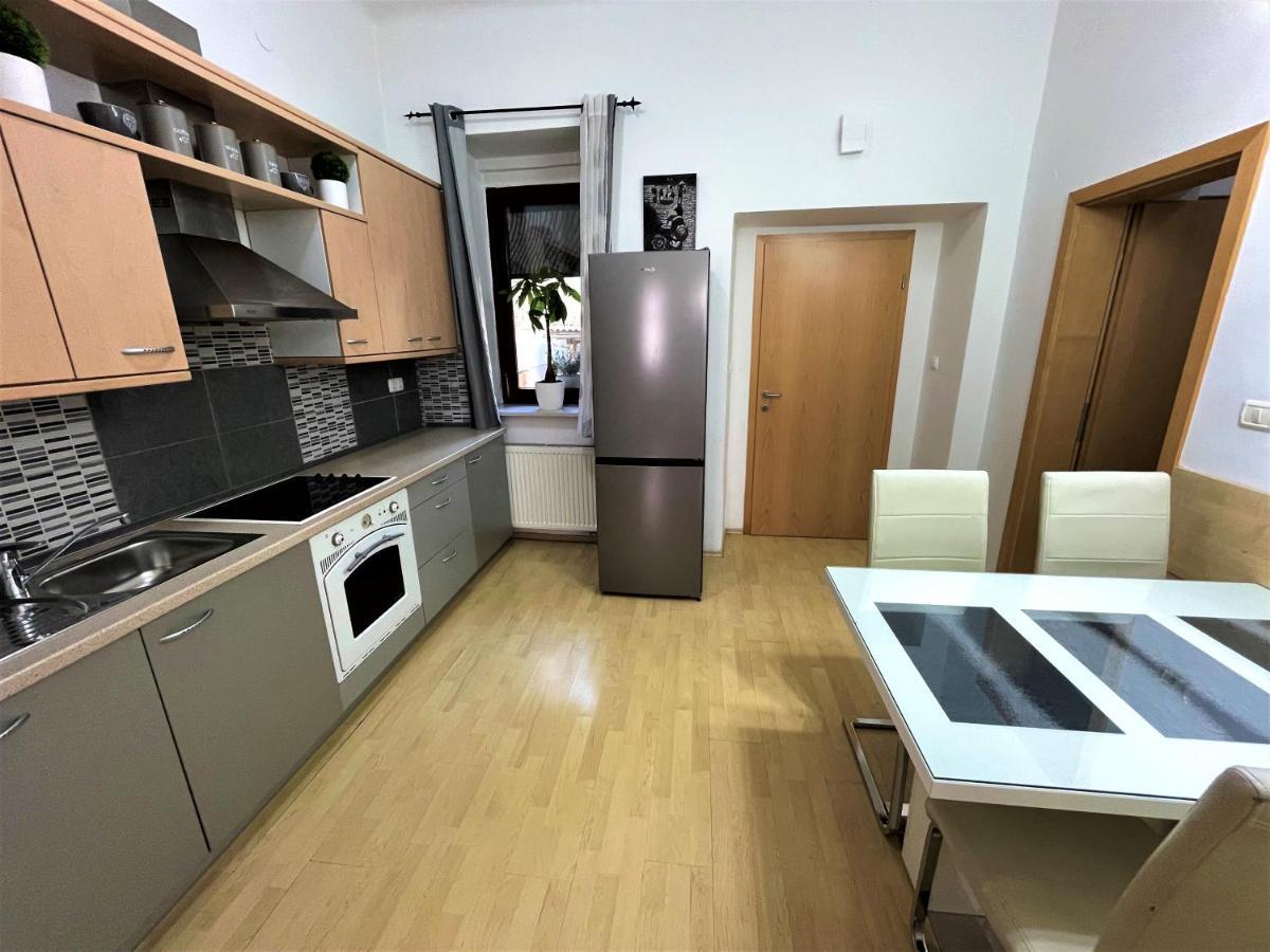 Viktorija City Center Apartment Ljubljana Dış mekan fotoğraf